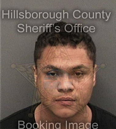 Joseph Cherian - Hillsborough County, FL 