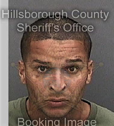 Louis Desautell, - Hillsborough County, FL 