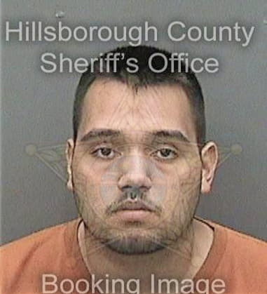 David Hodge, - Hillsborough County, FL 