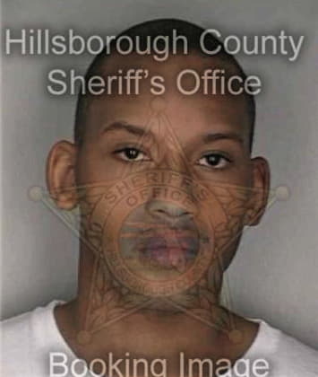 Antonio Julks, - Hillsborough County, FL 