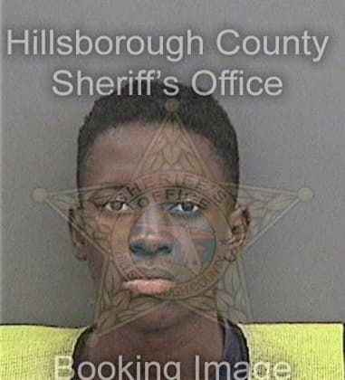 Raheim Lewis, - Hillsborough County, FL 