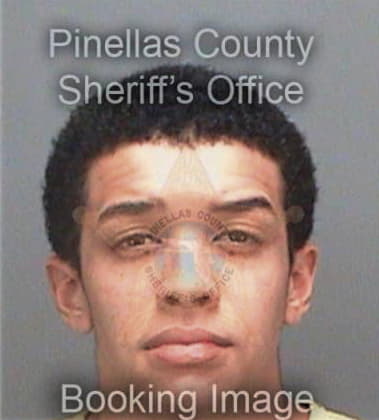 Michael McDonald - Pinellas County, FL 