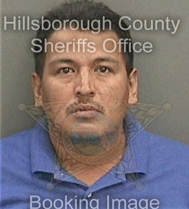 Enrique Reyesvillasana, - Hillsborough County, FL 