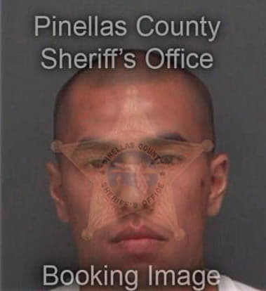 Steven Saengratsamee, - Pinellas County, FL 