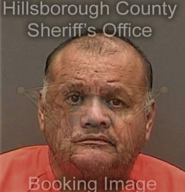 Julian Villalba, - Hillsborough County, FL 