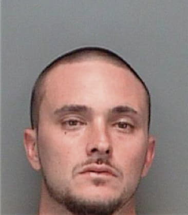 Kenneth Carbone, - Pinellas County, FL 