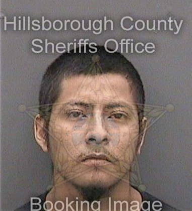 Thaddie Carver, - Hillsborough County, FL 