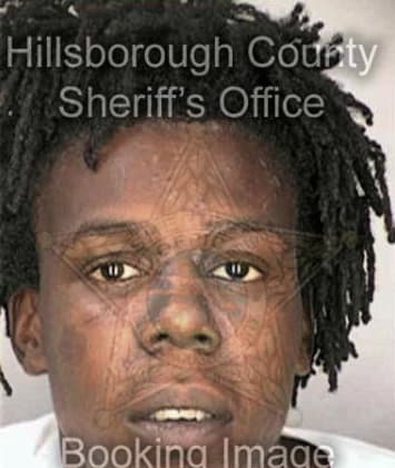 Eddy Chaumette - Hillsborough County, FL 
