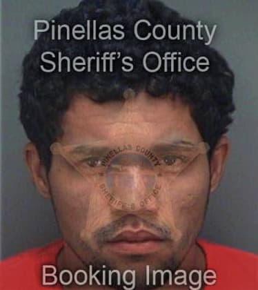 Jose Esteves, - Pinellas County, FL 