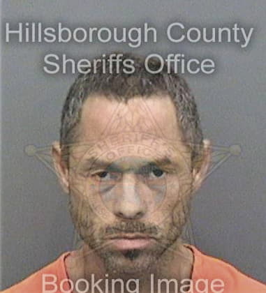 Patrick Gibson, - Hillsborough County, FL 