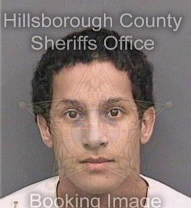 Anthony Hughes, - Hillsborough County, FL 