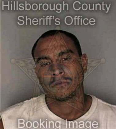 Irving Medina - Hillsborough County, FL 