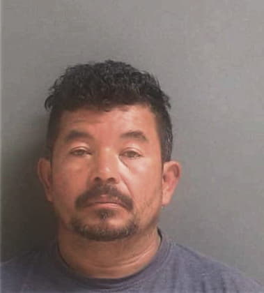 Edwin Paulino-Natali, - Volusia County, FL 