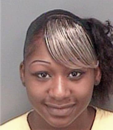 April Smith - Pinellas County, FL 