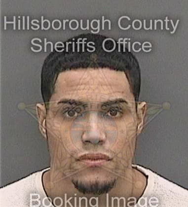 Fredy Carillorosillo, - Hillsborough County, FL 