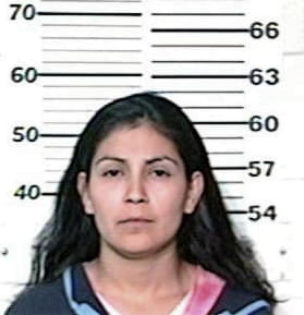 Melissa Deluna, - Hidalgo County, TX 