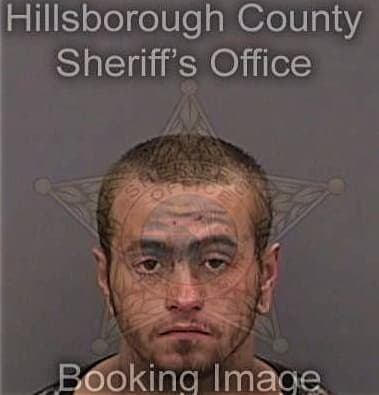 Edgar Hernandezsantiago - Hillsborough County, FL 
