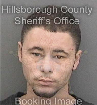 Joseph Mazur - Hillsborough County, FL 