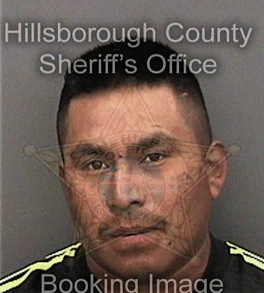 Ariel Ortizguerra, - Hillsborough County, FL 