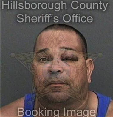 Brian Timmons, - Hillsborough County, FL 