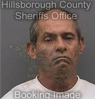 Alfredo Alascaguacastaneda, - Hillsborough County, FL 