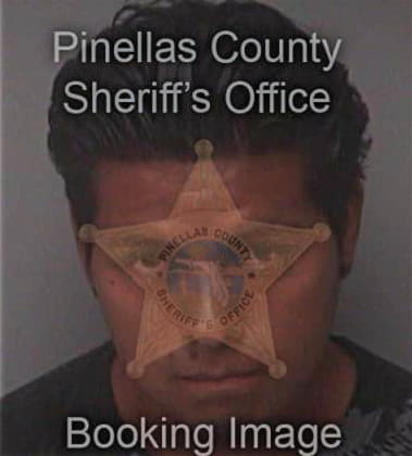 Alberto Avilesrebollar, - Pinellas County, FL 