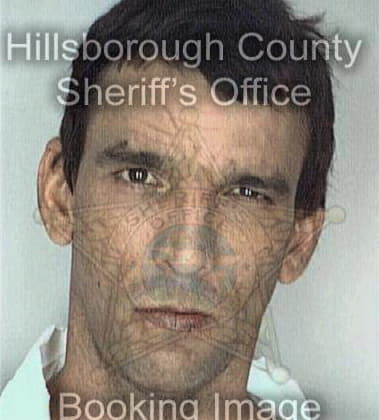 Stalin Azpeitjahernandez, - Hillsborough County, FL 