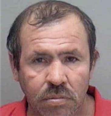 Michael Deterra, - Lee County, FL 