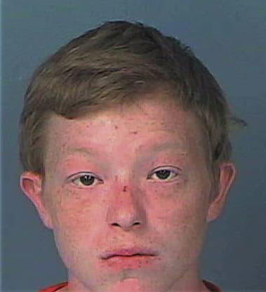 William Hutchins, - Hernando County, FL 