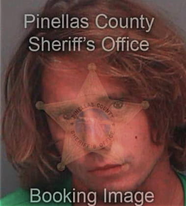 Anthony Larson, - Pinellas County, FL 