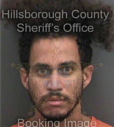 Michael Mackenzie, - Hillsborough County, FL 