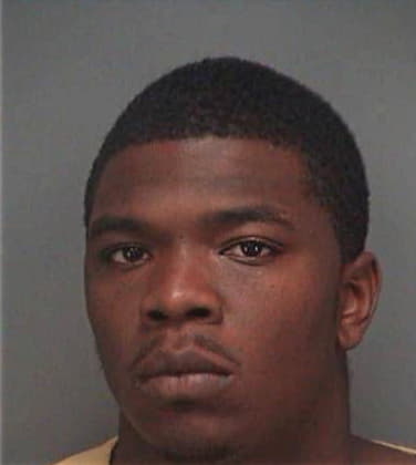 Robert Newsome, - Pinellas County, FL 