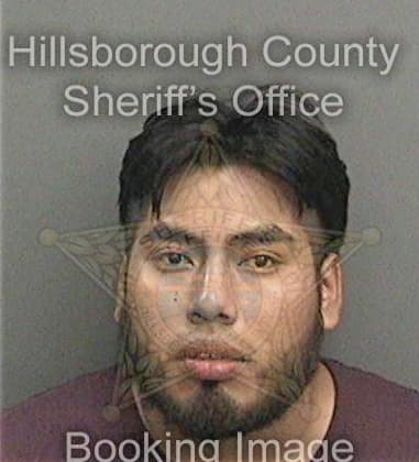 Giovani Ocasio, - Hillsborough County, FL 