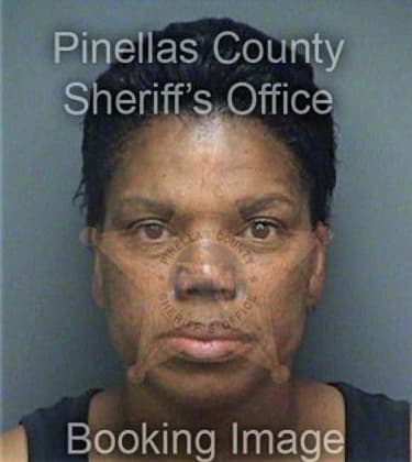 Nilsa Aponte, - Pinellas County, FL 