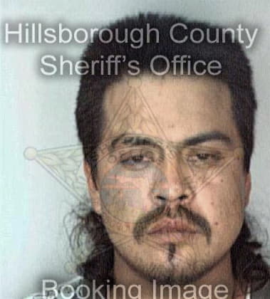 Joel Cruz, - Hillsborough County, FL 