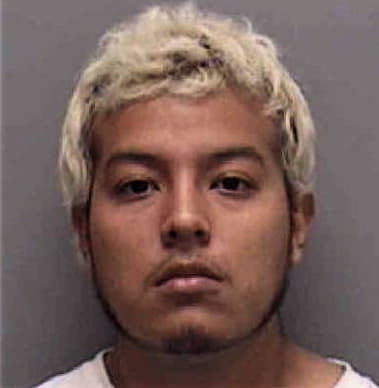 Ricardo Florenzano-Mata, - Lee County, FL 