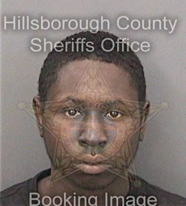 Bruce Hopkins, - Hillsborough County, FL 