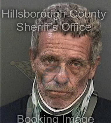 Ramon Lazo-Venega, - Hillsborough County, FL 