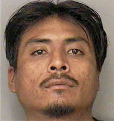 Gabriel Mendez - Polk County, FL 