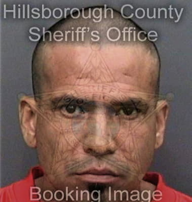 Miguel Mercadoamaro - Hillsborough County, FL 