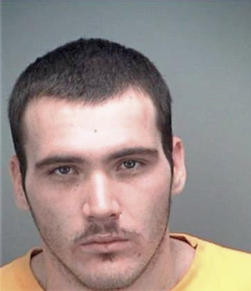 Isaias Perezavianeda, - Pinellas County, FL 