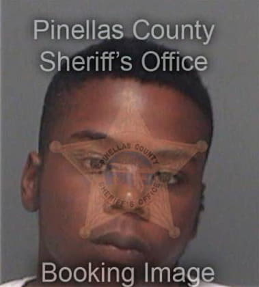 Michael Powell, - Pinellas County, FL 