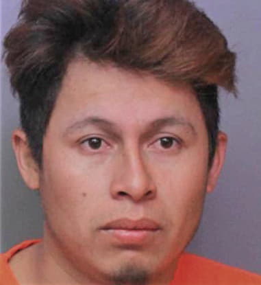 Eduardo Salomon-Ordaz, - Polk County, FL 