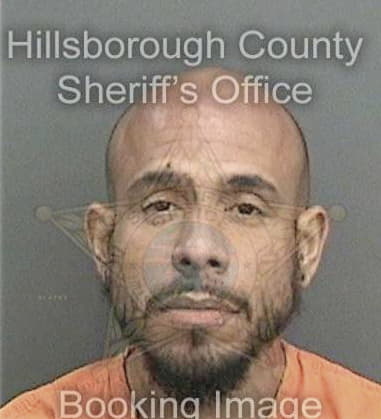 Maximillian Zelaya, - Hillsborough County, FL 