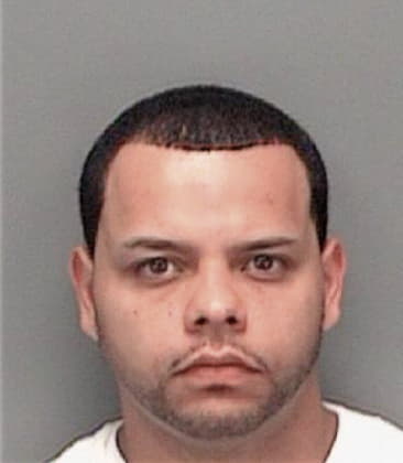 Alejandro Baltazartapia, - Pinellas County, FL 