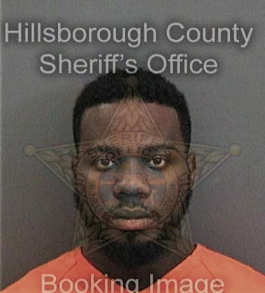 Aboubakr Dieng, - Hillsborough County, FL 