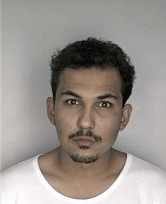 Calvin Pena, - Hillsborough County, FL 