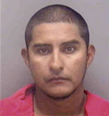 Jocsan Villalobos-Vargas, - Lee County, FL 