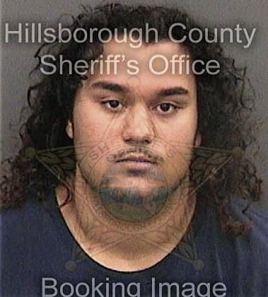 Andrew Attocchi, - Hillsborough County, FL 