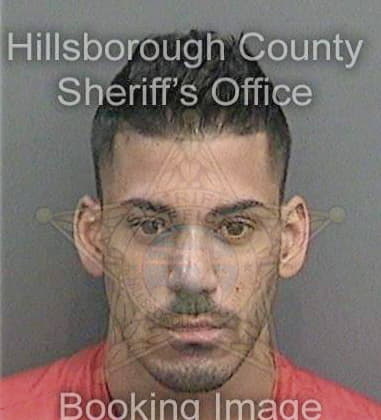 Tyler Boyington - Hillsborough County, FL 